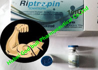 Riptropin Human Growth Hormone Hgh Bodybuilding 100iu / Kit Safe Delivery